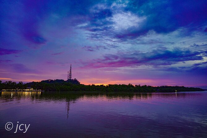 6-Hour Private Tour to Kuala Selangor Fireflies and Blue Tear - Customer Reviews