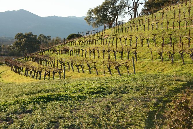 6-Hour Private Wine Country Tour of Napa in Crossover SUV (Up to 6 People) - Traveler Photos and Additional Resources