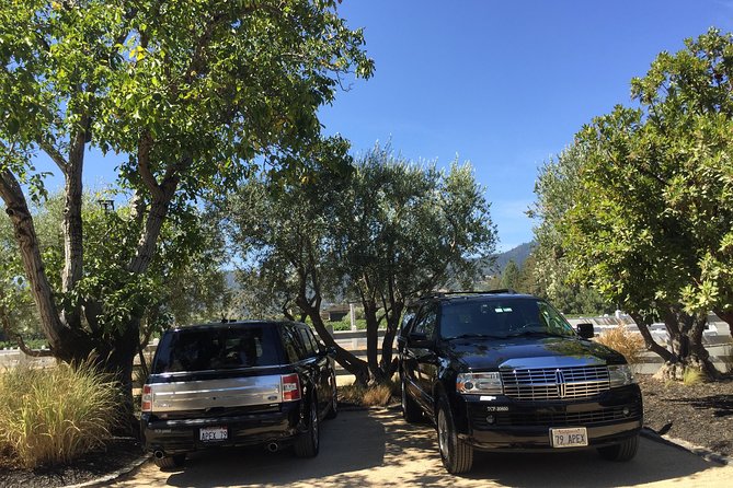 6-Hour Private Wine Country Tour of Napa Valley (Up to 6 People) in Large SUV - Additional Information