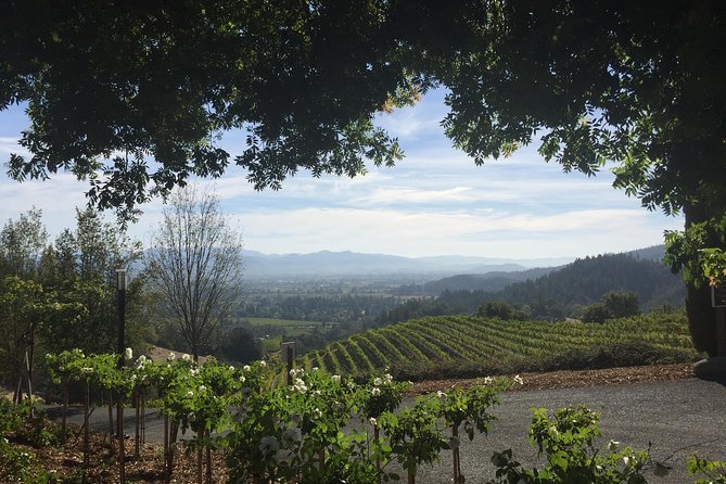 6-Hour Private Wine Country Tour of Napa Valley (Up to 6 People) in Large SUV - The Sum Up