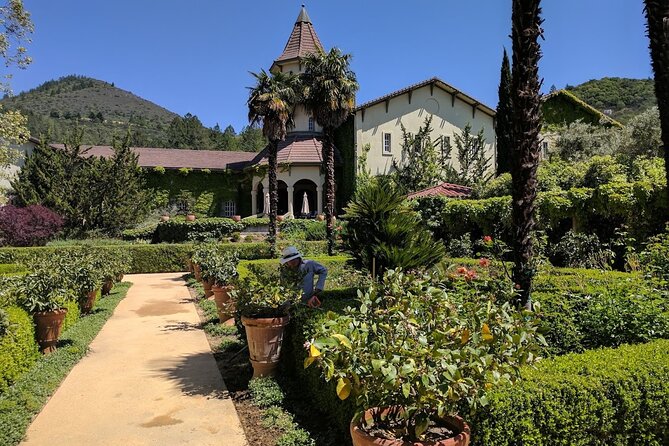 6 Hour Private Wine Country Tour (Sedan, SUV or Limo) - Important Information and Restrictions