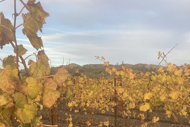 6 Hour Private Wine Tour of Santa Barbara County - Tour Overview