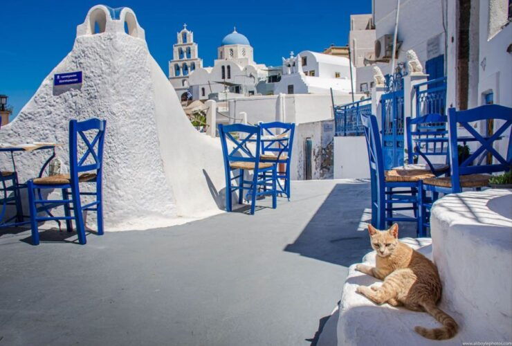 6-Hour Sightseeing Private Guided Tour by Van - Pickup Information