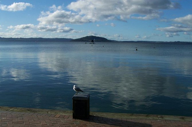 6 Hour Small-Group Rotorua Naturally Shore Excursion From Tauranga - The Sum Up
