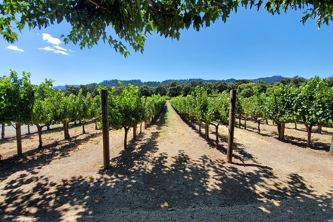 6 Hour Sparkling Wine Tour - Napa Valley - Customizable Itinerary