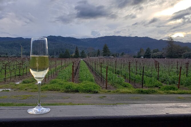 6 Hour Sparkling Wine Tour - Napa Valley - The Sum Up