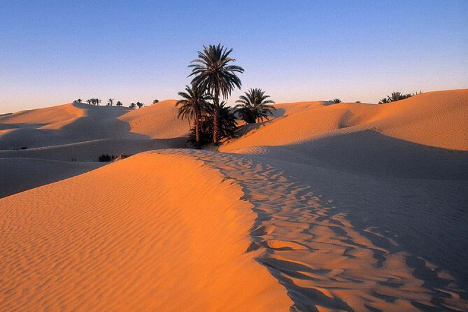 6-hour Sunset Desert Tour in El Gouna and Hurghada - Inclusions and Exclusions