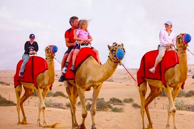 6 Hour Thrilling Desert Safari in 4x4 With Entertainment Show - The Sum Up