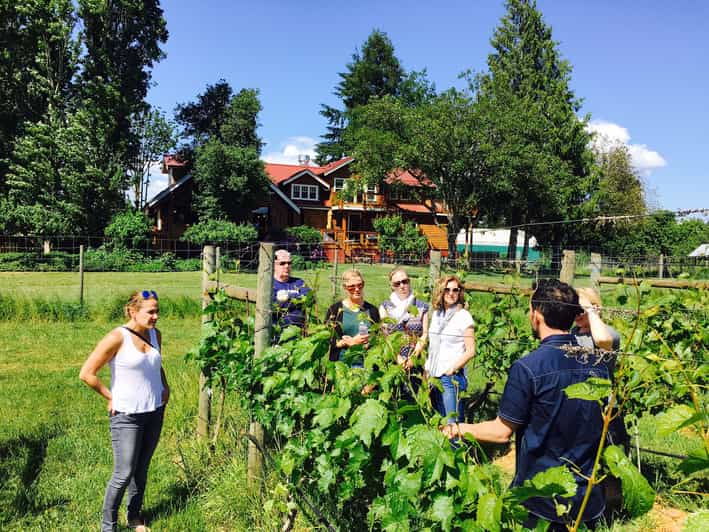 6-Hour Victoria to Cowichan Wine Tour - Itinerary Highlights