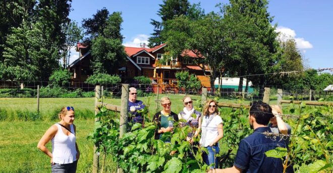 6-Hour Victoria to Cowichan Wine Tour - Included Experiences