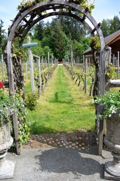 6-Hour Victoria to Cowichan Wine Tour - Guest Reviews