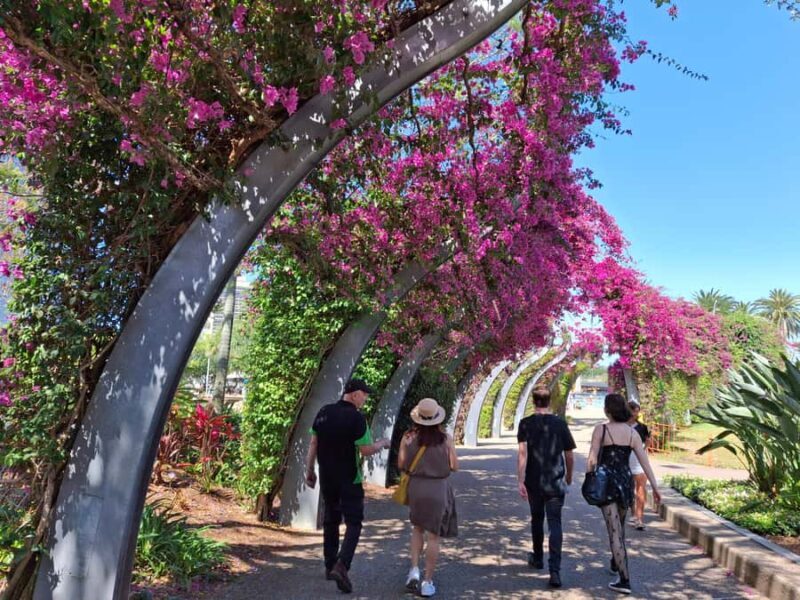 6 Hour Welcome to Brisbane Private Sightseeing Private Tour - The Flexibility of a Private Tour