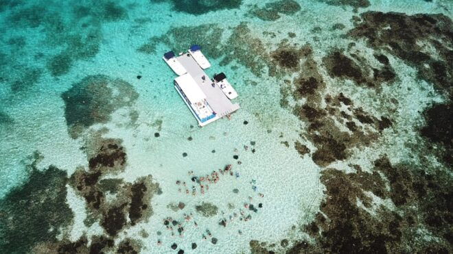 6-Hours Guided Stingray Tour in the East Coast of Antigua - Important Information