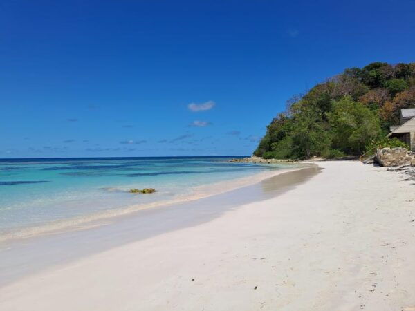 6-Hours Guided Stingray Tour in the East Coast of Antigua - Cancellation Policy