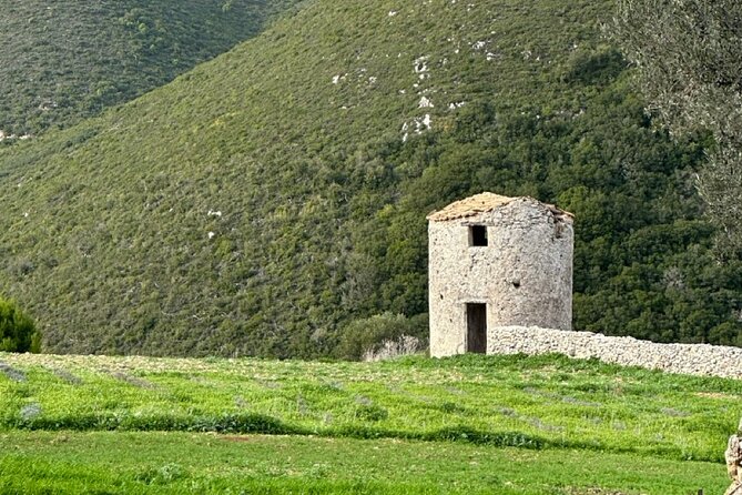 6 Hours Guided Tour to Zakynthos Island With 4WD - Pricing and Booking