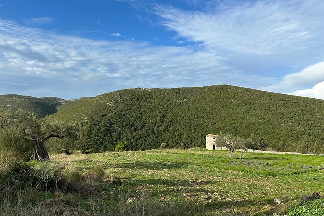 6 Hours Guided Tour to Zakynthos Island With 4WD - Pickup Points and Times