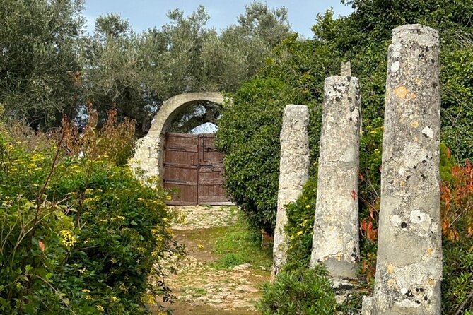 6 Hours Guided Tour to Zakynthos Island With 4WD - The Sum Up