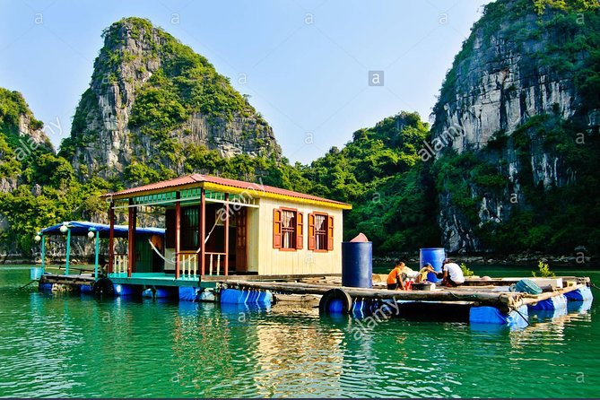 6 Hours Halong Bay Cruise On Titop Island & Swimming -go By New Highway - Pricing and Terms