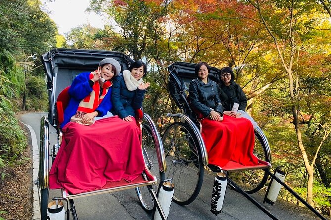 6 Hours Omotenashi Private Rickshaw Tour in Ise Grand Shrine - Overview of the Omotenashi Private Rickshaw Tour