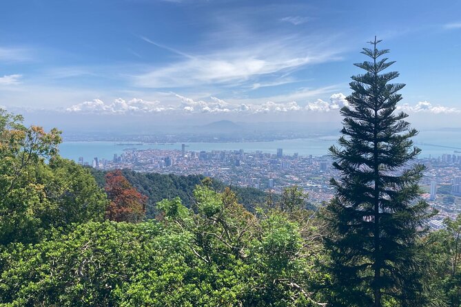 6-Hours Penang Private Tour - Important Information for Travelers