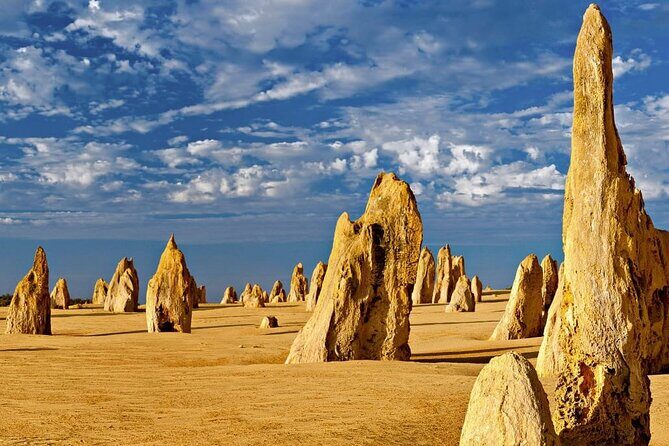 6 Hours Pinnacles Express Tour - Good To Know