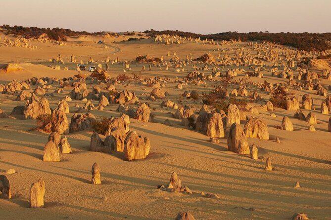 6 Hours Pinnacles Express Tour - The Experience: What You Can Expect from the 6-Hour Pinnacles Tour