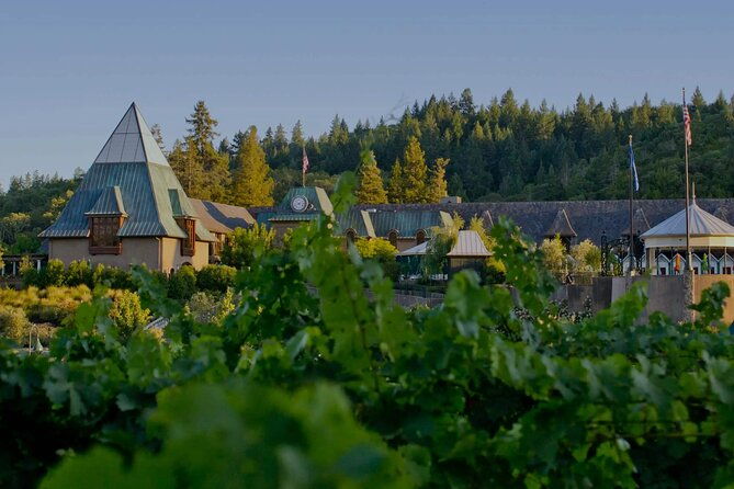 6 Hours Private Wine Tour in Healdsburg Featuring Coppola Winery - An In-Depth Look at the Itinerary