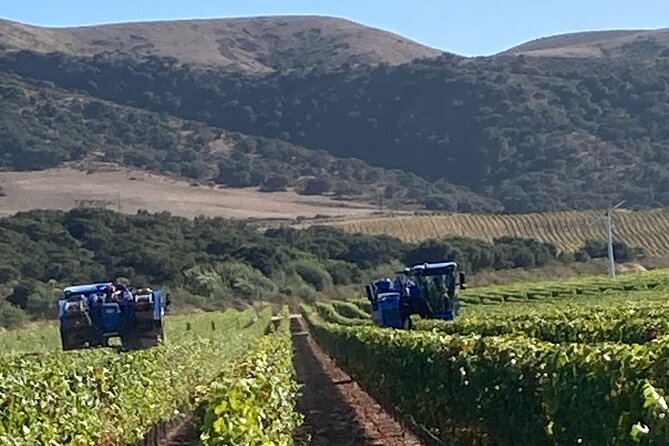 6 Hours Private Wine Tour of the Santa Ynez Valley - Pickup and Meeting Details