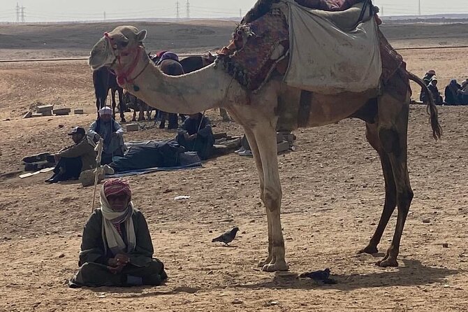 6 Hours Pyramids of Giza & the Grand Egyptian Museum - Pickup Information