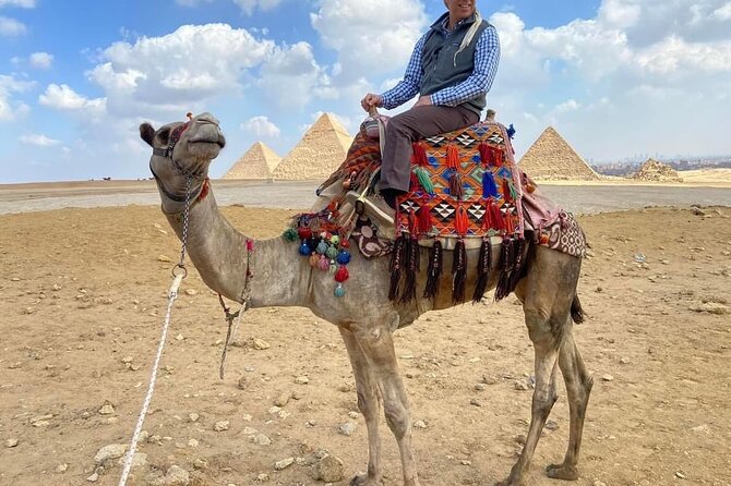 6 Hours Pyramids of Giza & the Grand Egyptian Museum - Booking Options