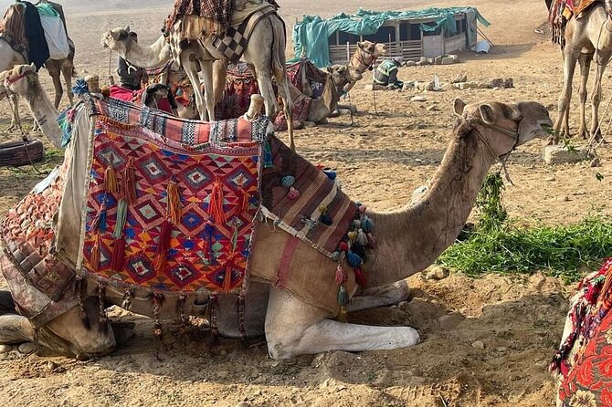 6 Hours Pyramids of Giza & the Grand Egyptian Museum - Guarantees and Policies