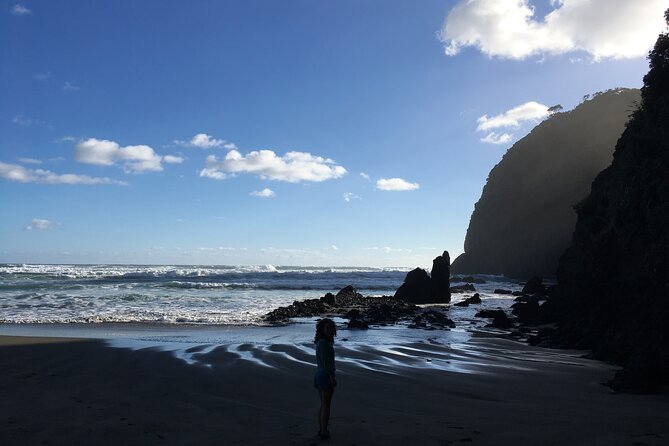 6 Hours Sightseeing Tour in Auckland - Professional Guide