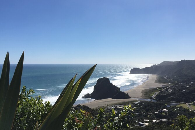 6 Hours Sightseeing Tour in Auckland - Small Group Experience