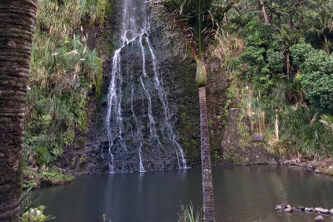 6 Hours Sightseeing Tour in Auckland - Itinerary Directions