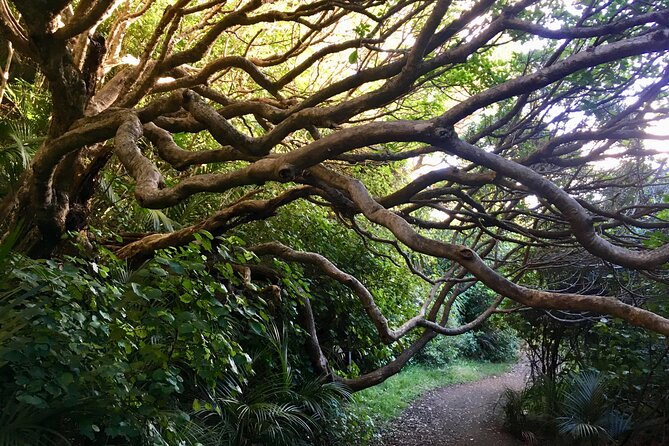 6 Hours Sightseeing Tour in Auckland - The Sum Up