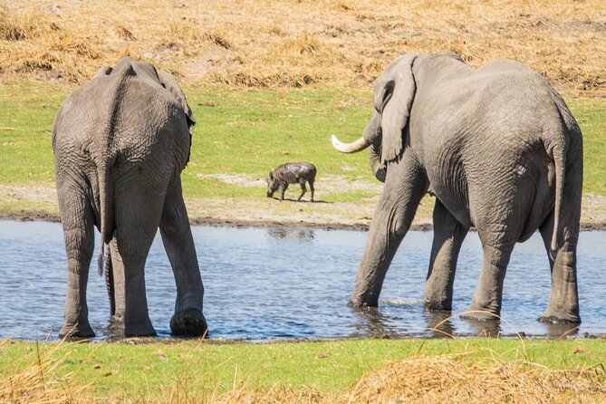 6 Hours Ultimate Pilanesberg Open Vehicle Day Tour - Tour Duration and Highlights