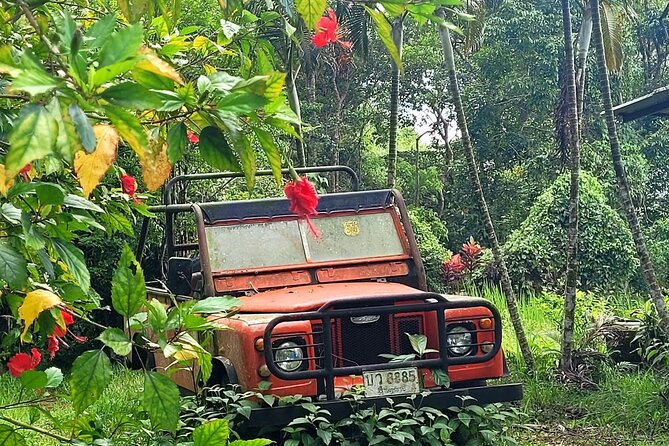 6 Hrs off Road 4x4 Adventure of Hidden Gems in Koh Samui Hills 1 - 4 Persons - Traveler Reviews