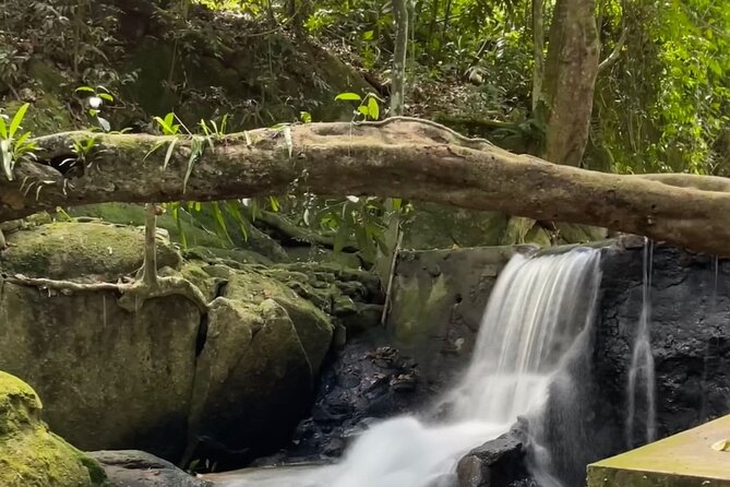 6 Hrs off Road 4x4 Adventure of Hidden Gems in Koh Samui Hills 1 - 4 Persons - Pricing and Customization Options