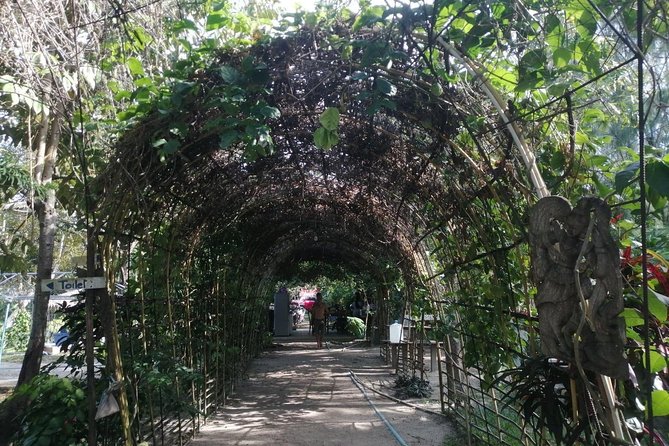 6 Hrs Off Road 4x4 Adventure of Hidden Gems In Koh Samui Hills 5 - 8 Persons - Scenic Highlights