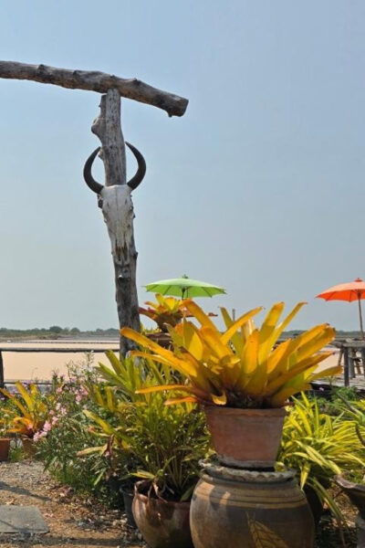 6 Market :Rom-Hub,Damnoen,Yaowarat,Sampeng,Pahurat,Pakklong - Local Flavors and Food Experiences