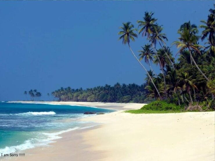 6 Nights 7 Days-Muslim Halal Tour With Beach Vacation - Tour Highlights