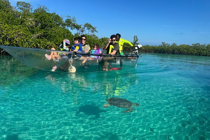 6-Passenger Motorized Clear Kayak Mangrove Tour in Providenciales - Good To Know