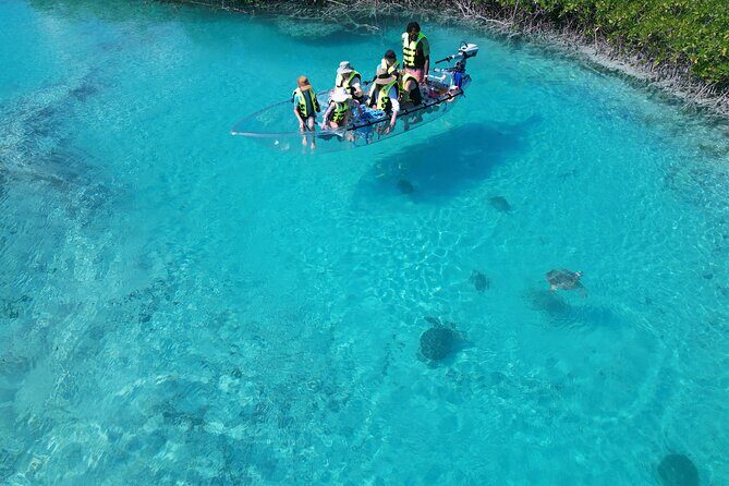 6-Passenger Motorized Clear Kayak Mangrove Tour in Providenciales - Who Is This Tour Best For?