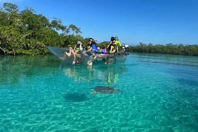 6-Passenger Motorized Clear Kayak Mangrove Tour in Providenciales - Final Thoughts: Why You Should Consider It