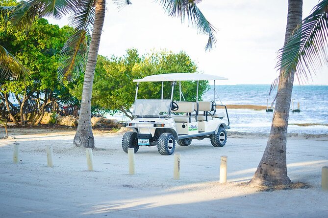 6-Seater Golf Cart Rental in San Pedro - Convenience Services