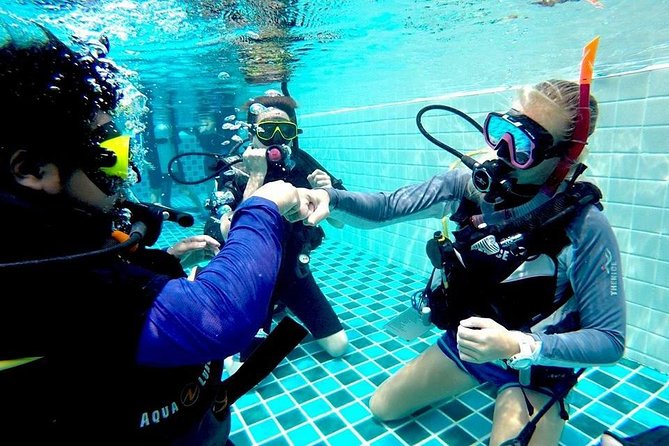 6-Week PADI Dive Divemaster in Koh Chang - Dive Divemaster Training Overview