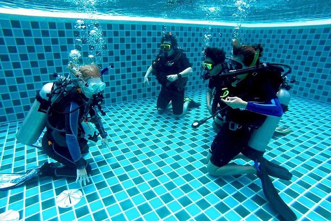6-Week PADI Dive Divemaster in Koh Chang - Dive Equipment and Facilities Provided