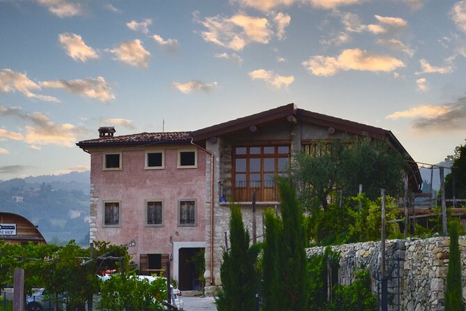 6 Wine Tasting in Valpolicella Classica: the Cradle of Amarone - Exclusive Winery Visit in Valpolicella Classica