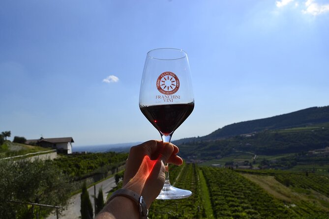 6 Wine Tasting in Valpolicella Classica: the Cradle of Amarone - Tasting Valpolicella and Amarone Wines