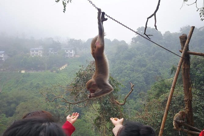 60min Buggy / ATV adventure tour in Jungle in Okinawa - The Experience: Practical Insights and Authenticity
